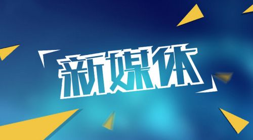 中享科技 軟件開發(fā)與網(wǎng)絡(luò)推廣運營的雙輪驅(qū)動
